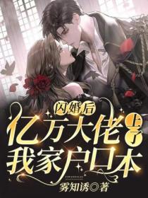 闪婚后,亿万大佬上了我家户口本