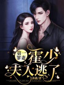 第一罪妻:霍少,夫人逃了