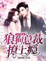 契约婚宠:狼狗总裁撩上瘾