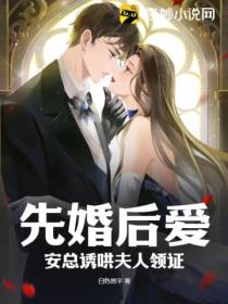 先婚后爱,安总诱哄夫人领证