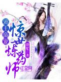 邪王溺宠:惊世炼药师