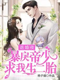 退婚夜,暴戾帝少求我生二胎