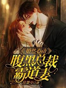 腹黑总裁霸道妻