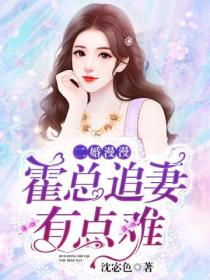 二婚漫漫:霍总追妻有点难