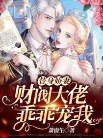 替身娇妻:财阀大佬乖乖宠我