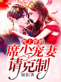 枕上撩婚:席少,宠妻请克制