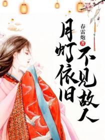月灯依旧,不见故人