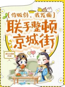 你贩剑,我发癫,联手整顿京城街