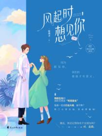 风起时想见你