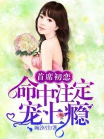 首席初恋:命中注定宠上瘾