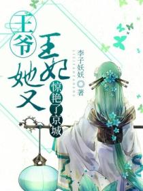 王爷,王妃她又惊艳了京城