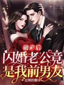 破产后,闪婚老公竟是我前男友