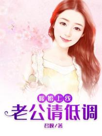 暖婚上线:老公,请低调