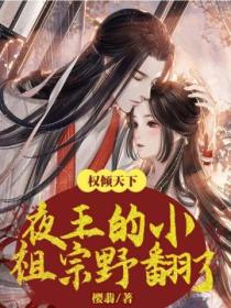 权倾天下:夜王的小祖宗野翻了