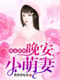 独家甜婚:晚安小萌妻