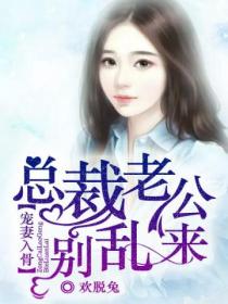 宠妻入骨:总裁老公别乱来