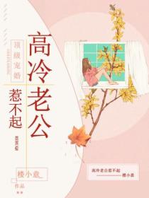 顶级宠婚:高冷老公惹不起