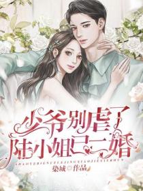 少爷别虐了,陆小姐已二婚