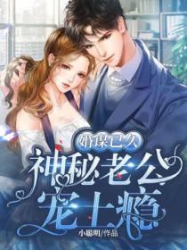 婚谋已久:神秘老公宠上瘾
