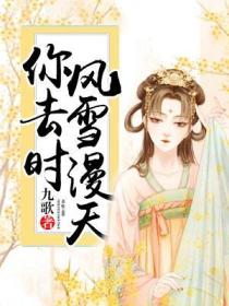 你去时,风雪漫天