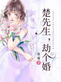 楚先生,劫个婚