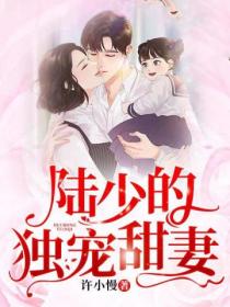 陆少的独宠甜妻