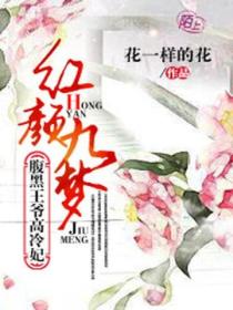 红颜九梦:腹黑王爷高冷妃