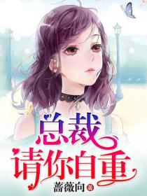 总裁,请你自重
