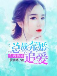 总裁弃婚追爱:手到情来