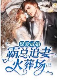 谋爱成婚:霸总追妻火葬场