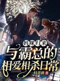 妈咪归来:与霸总的相爱相杀日常