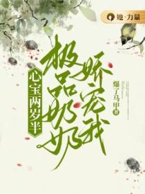 心宝两岁半:极品奶奶娇宠我