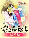 极品王妃很爱玩