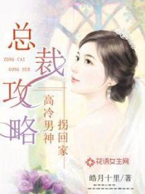 总裁攻略高冷男神拐回家