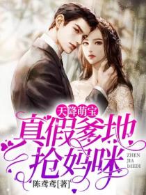 天降萌宝:真假爹地抢妈咪