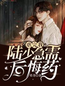 虐完我,陆少急需后悔药