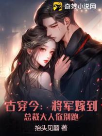 古穿今:将军嫁到,总裁大人你别跑