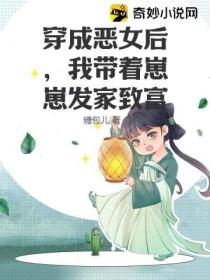穿成恶女后,我带着崽崽发家致富