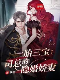 一胎三宝:司总的隐婚娇妻