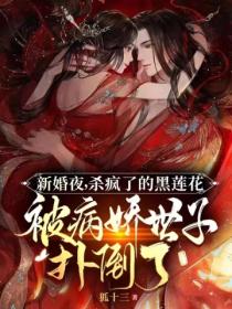 新婚夜,杀疯了的黑莲花被病娇世子扑倒了