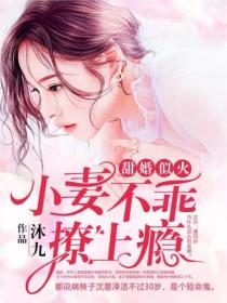 甜婚似火:小妻不乖,撩上瘾