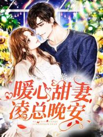 暖心甜妻凌总晚安