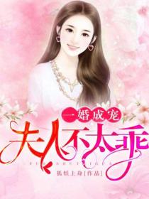 一婚成宠:夫人不太乖