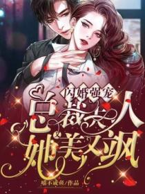 闪婚强宠,总裁夫人她又美又飒