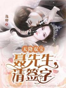 天降双宝:聂先生,请签字