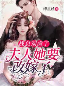 战总别虐了,夫人她要改嫁了!