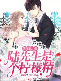 先婚后爱：陆先生是个柠檬精