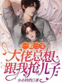一胎三宝:大佬总想跟我抢儿子