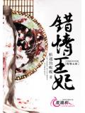 错情王妃