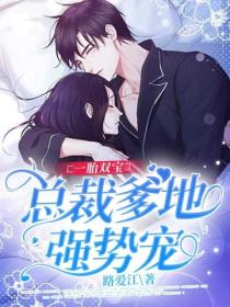 一胎双宝:总裁爹地强势宠